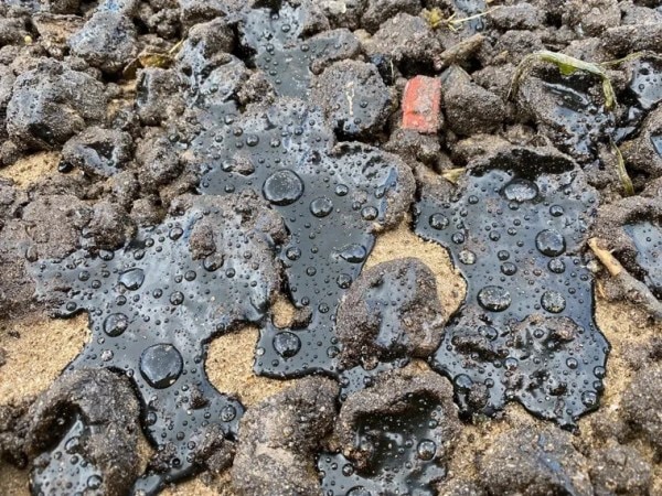 UPSC Prelims S.E.E. Snapshot: Dimethyl Ether, New Base year of CPI, Tar Balls — quick look