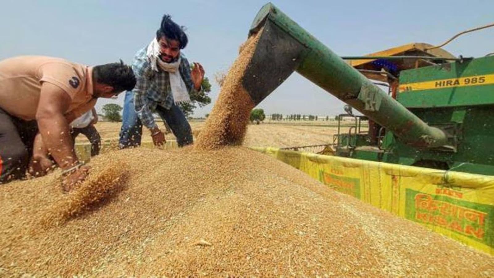 Wheat procurement slowdown hits Rabi season 2026-27 as Madhya Pradesh lags, pulling down overall national numbers compared to last year.