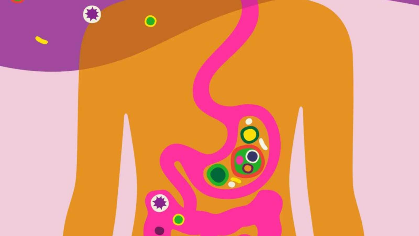 Your gut is where health begins