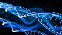 Craig Venter’s genome lesson: Smallest cell, big secrets