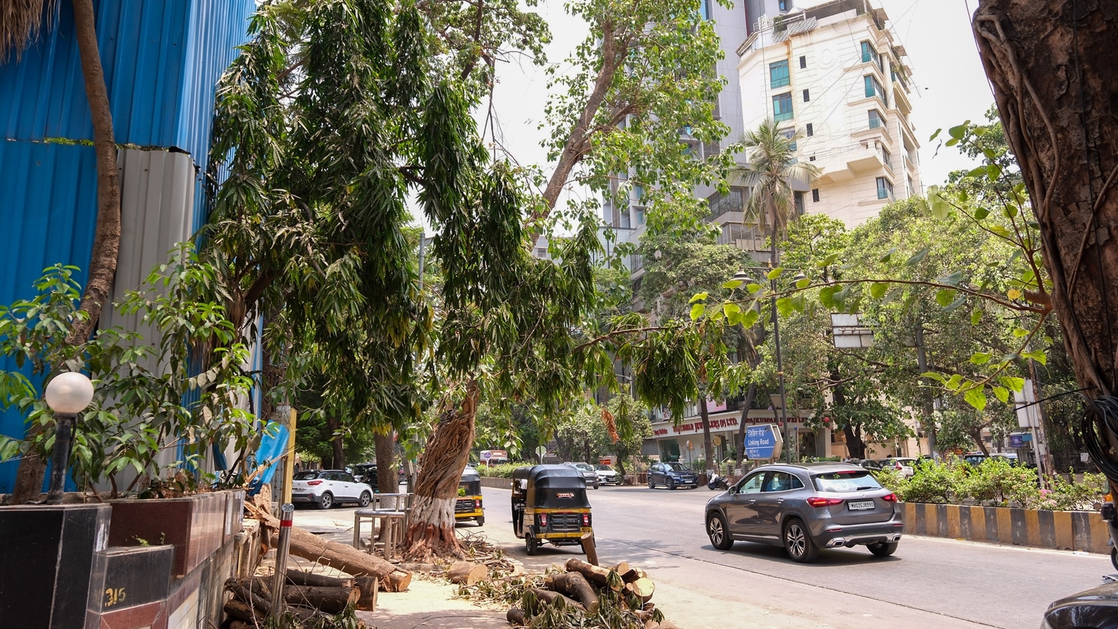 Mumbai’s Khar tree collapse: Survivor had topped her class with perfect CGPA just days before accident