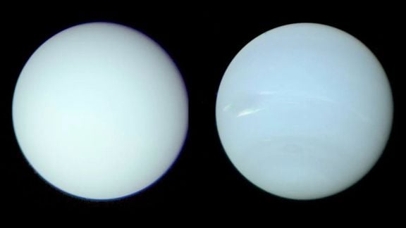Uranus (left) and Neptune (right) are different shades of blue despite the many similarities they share in terms of mass, size and composition. (Image: NASA)