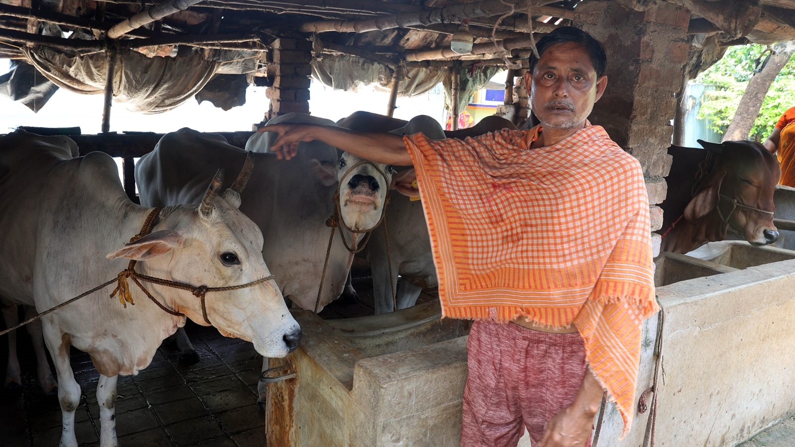 Cow markets empty, despair mounts as Bengal slaughter norms spread confusion, ‘fear’