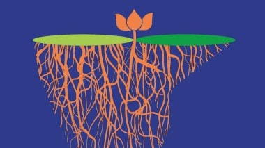 Assembly Elections 2026, Kerala Assembly Elections, BJP, Bharatiya Janata Party, Tamil Nadu Assembly elections, West Bengal Assembly elections, Assam Assembly Election Result 2026, Puducherry Assembly Election Result 2026, editorial, Indian express, opinion news, current affairs