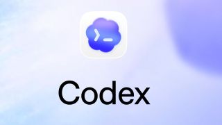 OpenAI said adoption of its AI-powered coding tool Codex is rising rapidly in India. (Image: OpenAI)