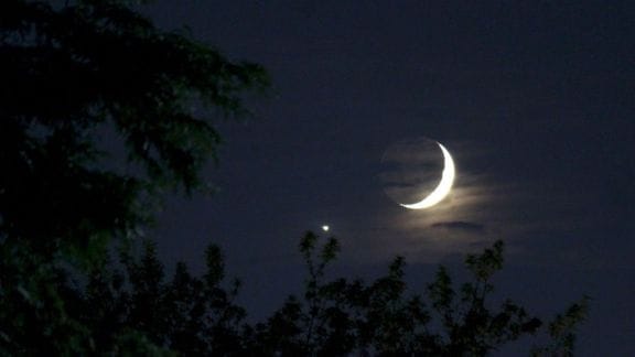 Despite the distance between the two objects, they rarely fail to turn heads when they appear in proximity. To observe the distance and witness the magic unfold of a pairing in the dusk, clench your fist at arm's length, measuring 10 degrees to watch the moon and the venus