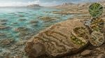 Ediacaran period microfossils Brazil