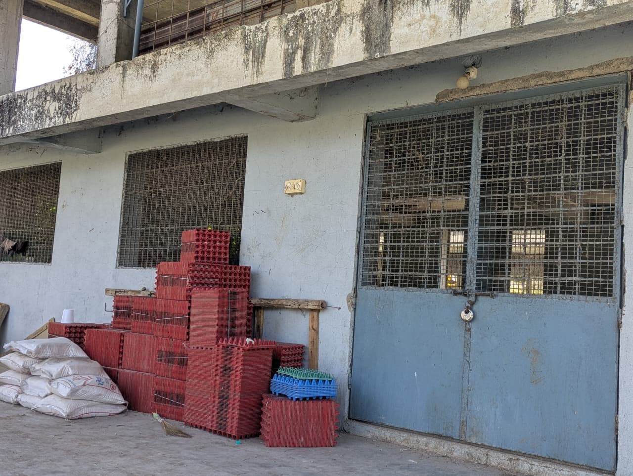 'This time we don't have strength to rebuild': Bird flu hits western India's biggest egg-supply hub, again