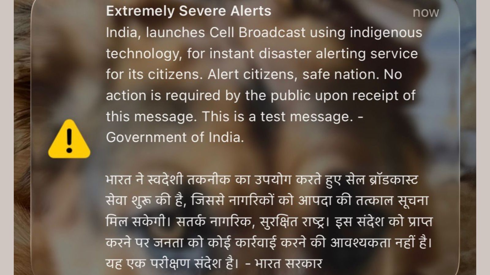 indianexpress.com - Express Web Desk - India launches indigenous cell broadcast system for emergencies, sends test alert to all citizens