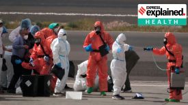hantavirus