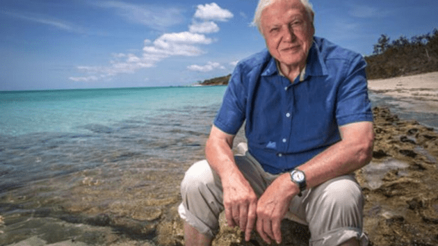 david attenborough