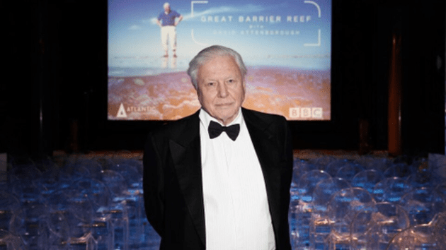 david attenborough