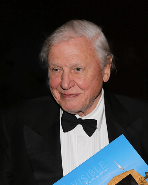 david attenborough