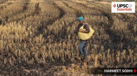Heat, food security, India