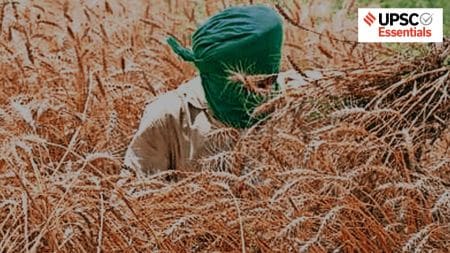Heat, food security, India