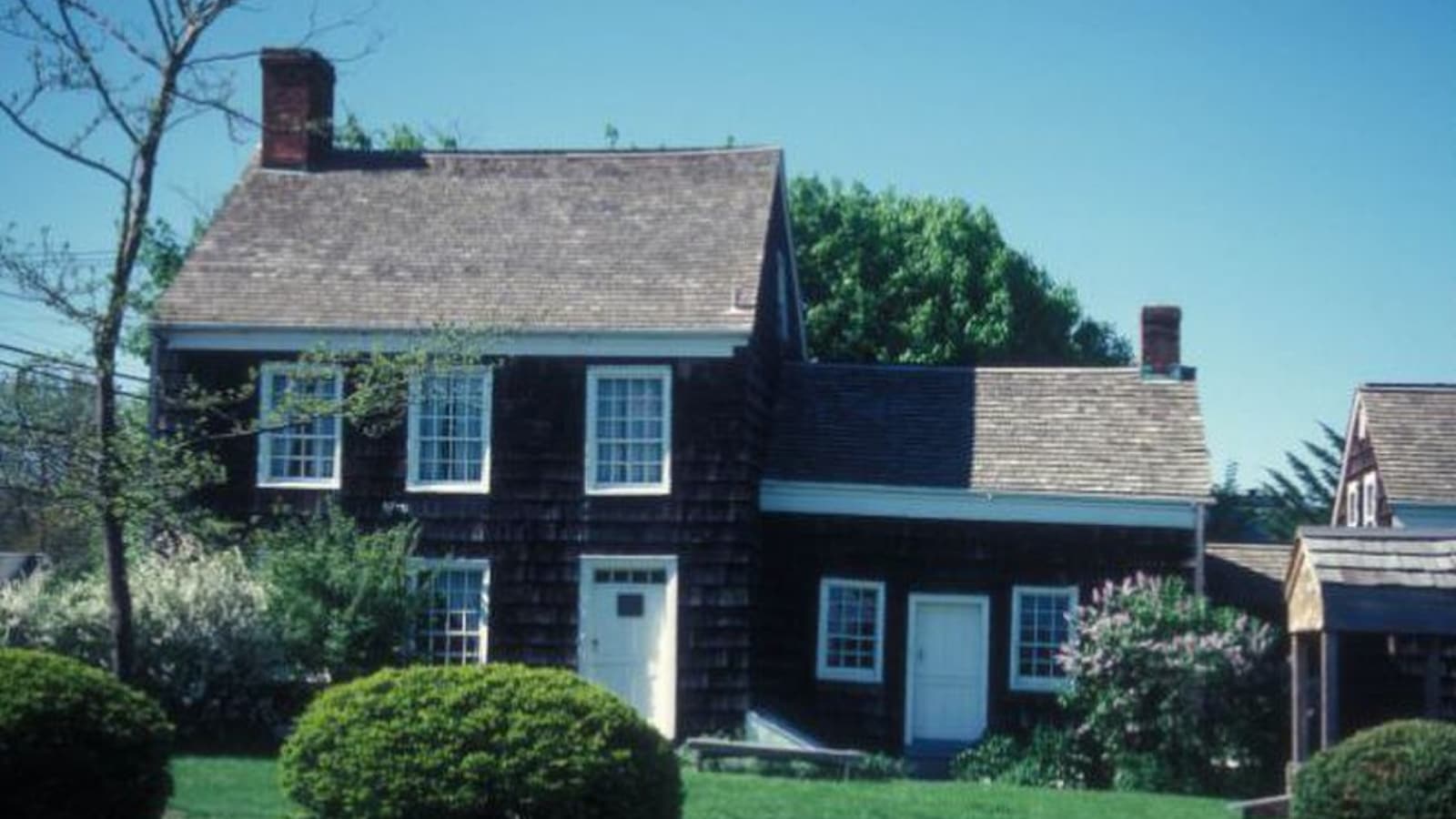 Beyond Leaves of Grass: The untold story of Walt Whitman