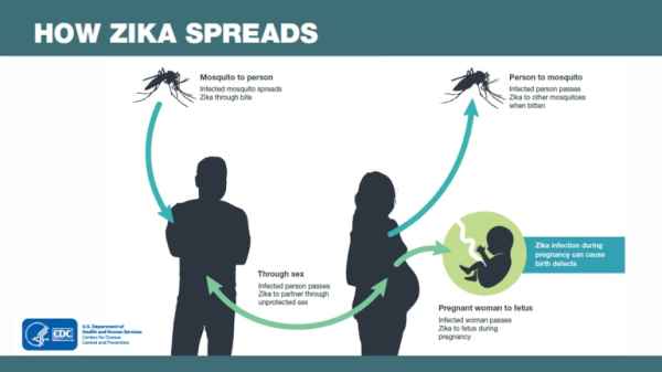 Knowledge Nugget | Hantavirus and other viral diseases: Why they matter for UPSC Exam