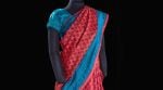 The viral post featured a mannequin draped in a striking blue-red saree