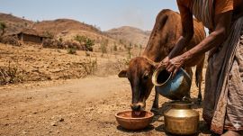 Bombay High Court Melghat water crisis