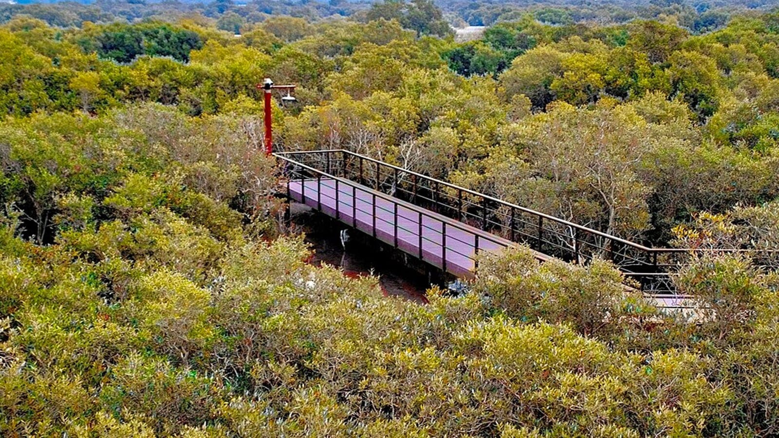 India’s first mangrove park, in Mumbai’s Gorai, to be named after Atal Bihari Vajpayee