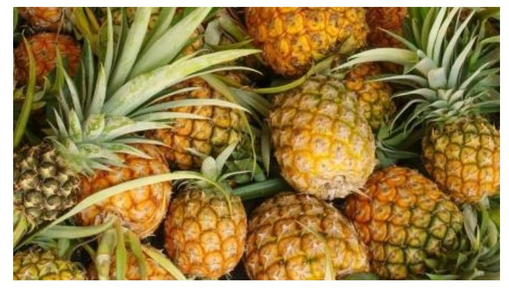 Meghalaya Pineapple