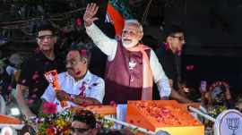 BJP states
