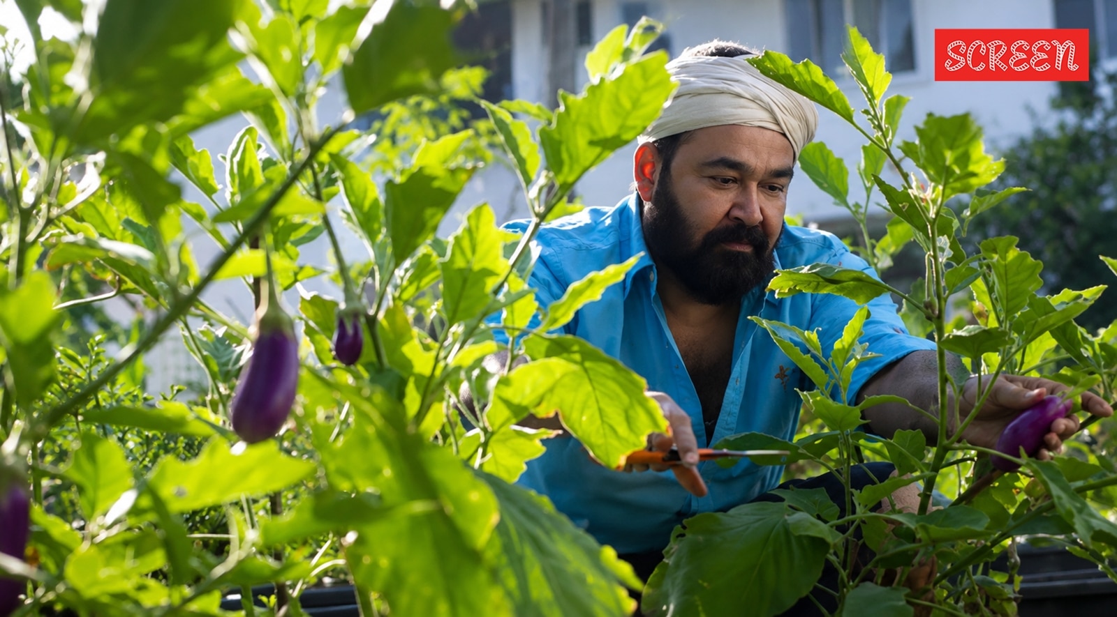 Mohanlal created a small green haven on half an acre of land adjacent to his home.