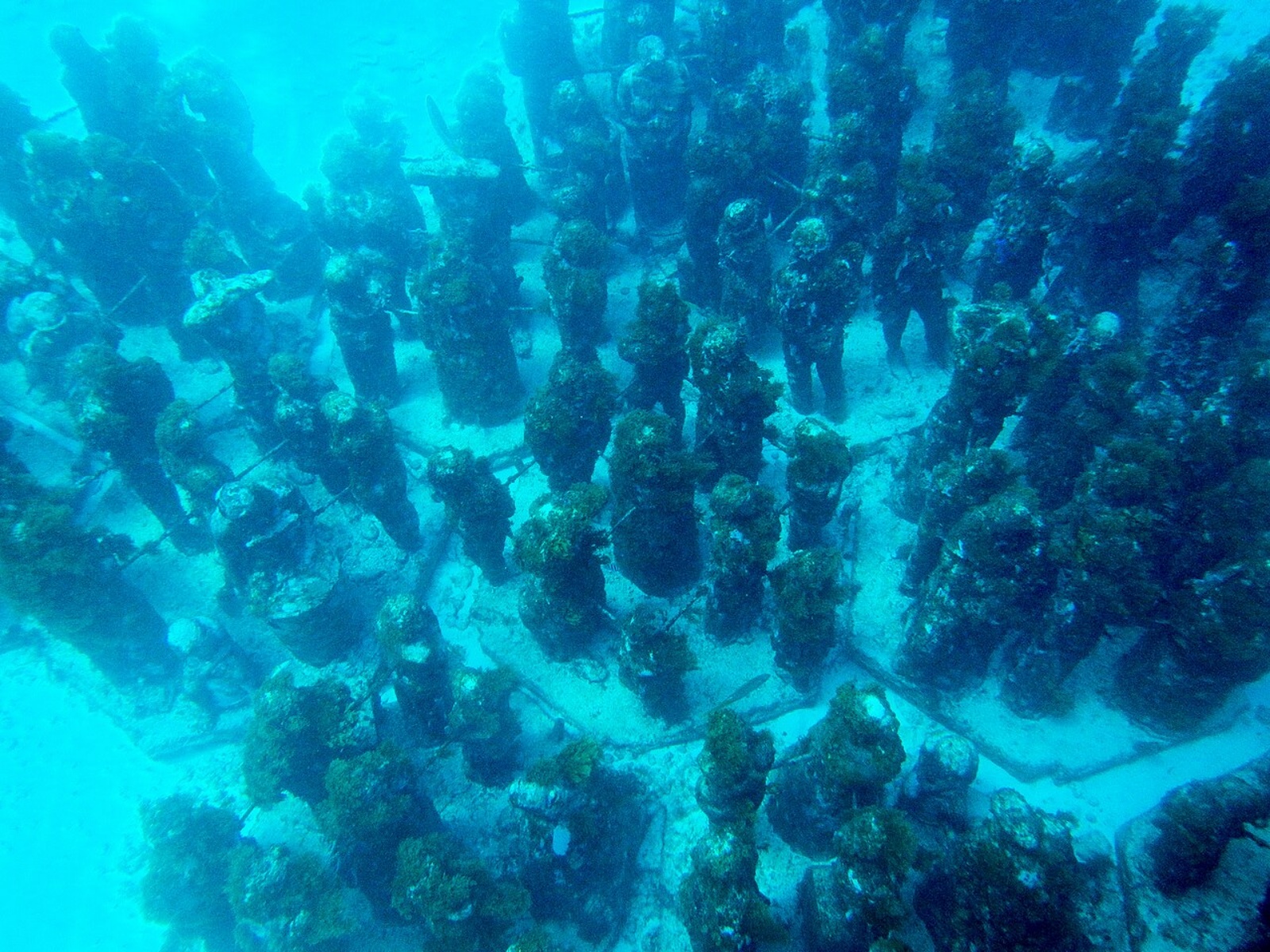 Cancún Underwater Museum