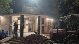 Nandgaon APMC, onion farmers, onion price crash