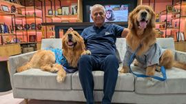 The new 'Chief Happiness Officers' demanded “instant belly rubs, ear tickles and slobbery reciprocal affection"
