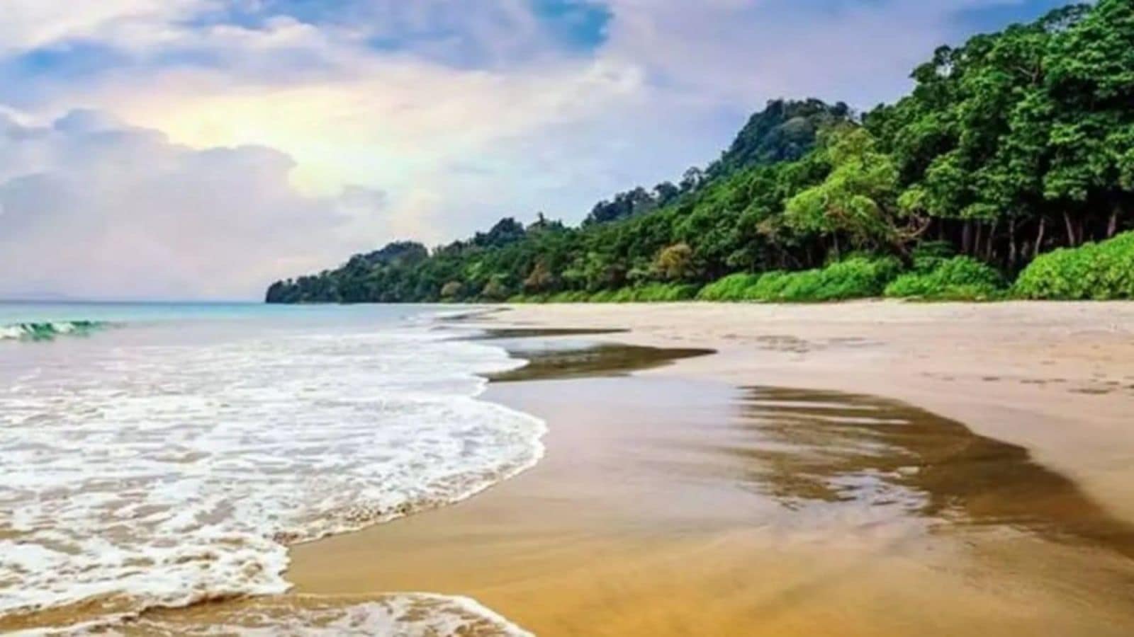 Calcutta HC agrees to hear PILs challenging forest rights clearance for Great Nicobar project