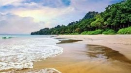 andaman nicobar islands, nicobar island, calcutta high court,