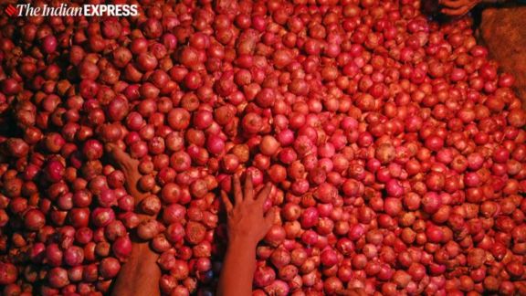 onion procurement 2026, onion, nafed