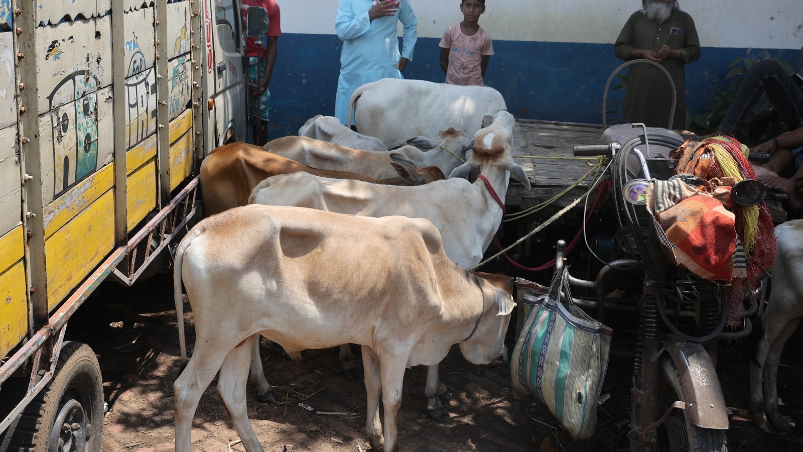 Cow markets empty, despair mounts as Bengal slaughter norms spread confusion, ‘fear’