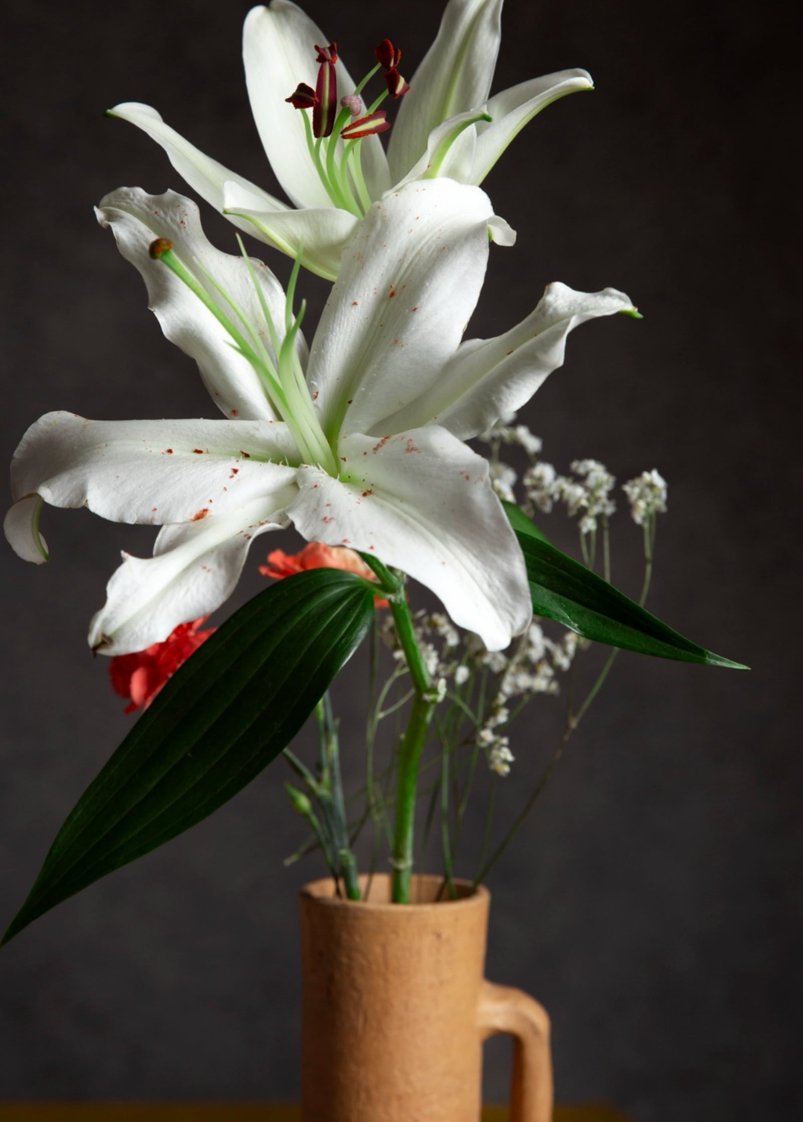 Beautiful plants that can grow without soil | Lifestyle News - The ...