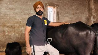 Farmer Amandeep Singh Gill at his dairy farm performing all activities perfectly