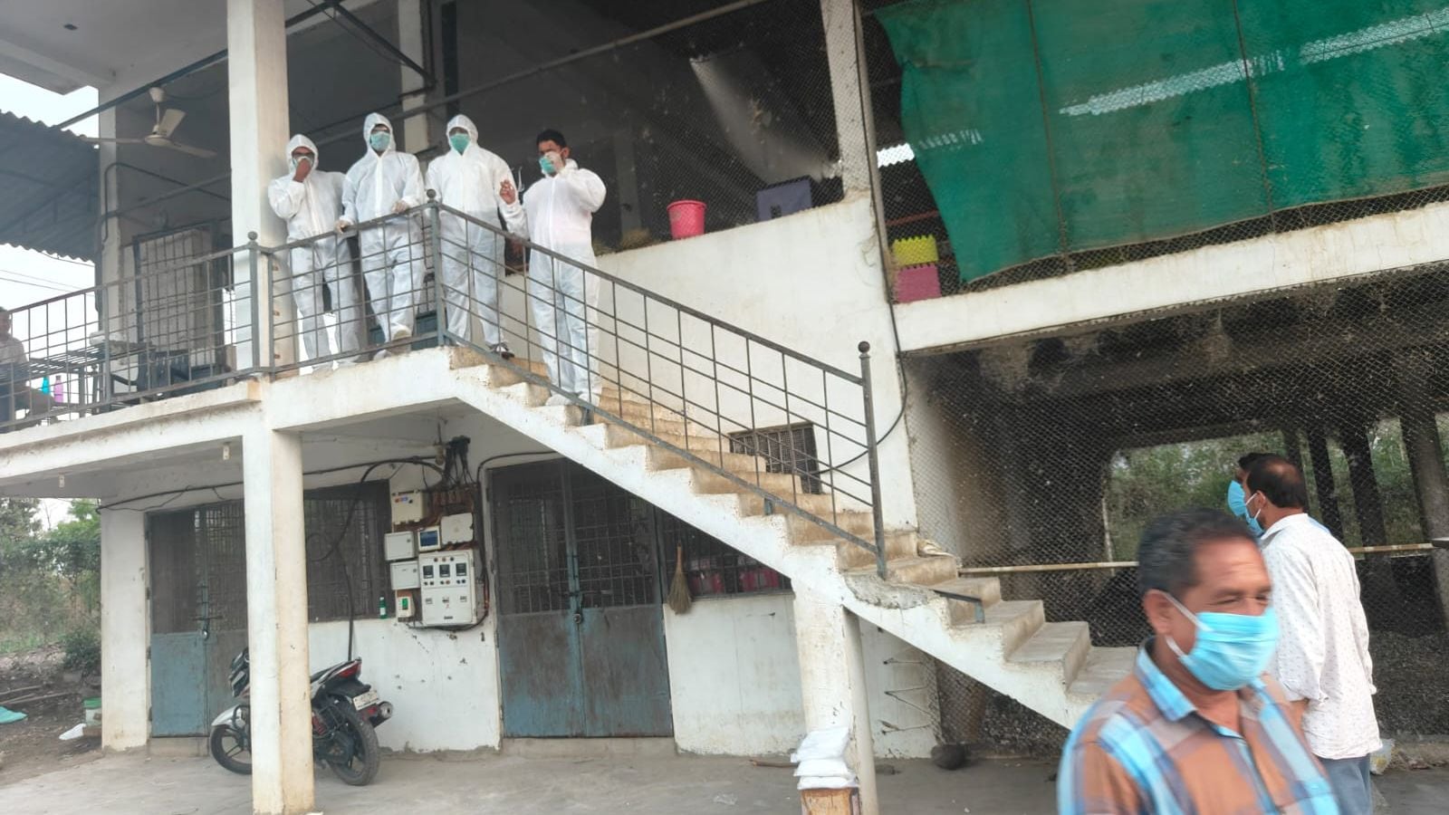 Bird flu outbreak in Nandurbar: 1.4 lakh chickens to be culled in 5 days