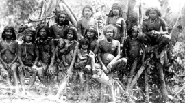 tribes, nicobar, nicobarese, shompen