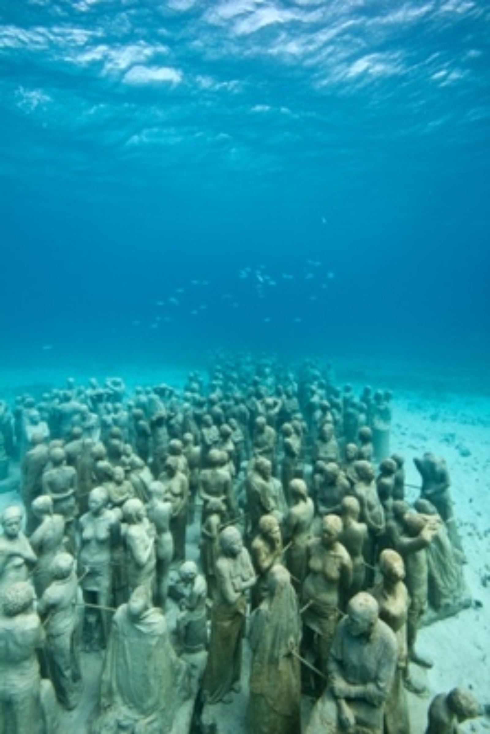 The Silent Evolution at the Cancún Underwater Museum