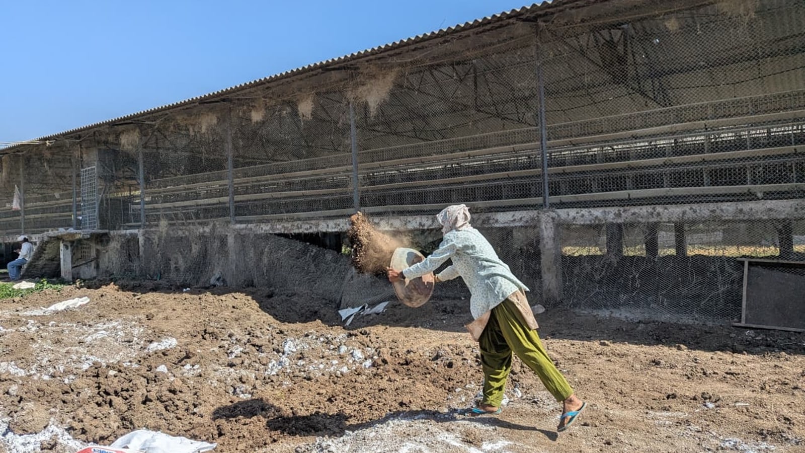 ‘This time we don’t have strength to rebuild’: Bird flu hits western India’s biggest egg-supply hub, again