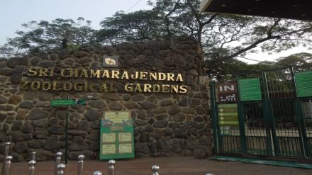 Sri Chamarajendra Zoological Gardens Mysuru