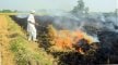Stubble burning Punjab