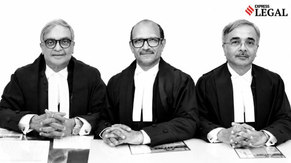 Supreme Court stray dogs dog bites judgment animal lovers