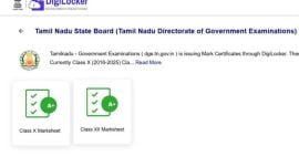 TNDGE class 10 results 2026 announced: How to check results on Digilocker?