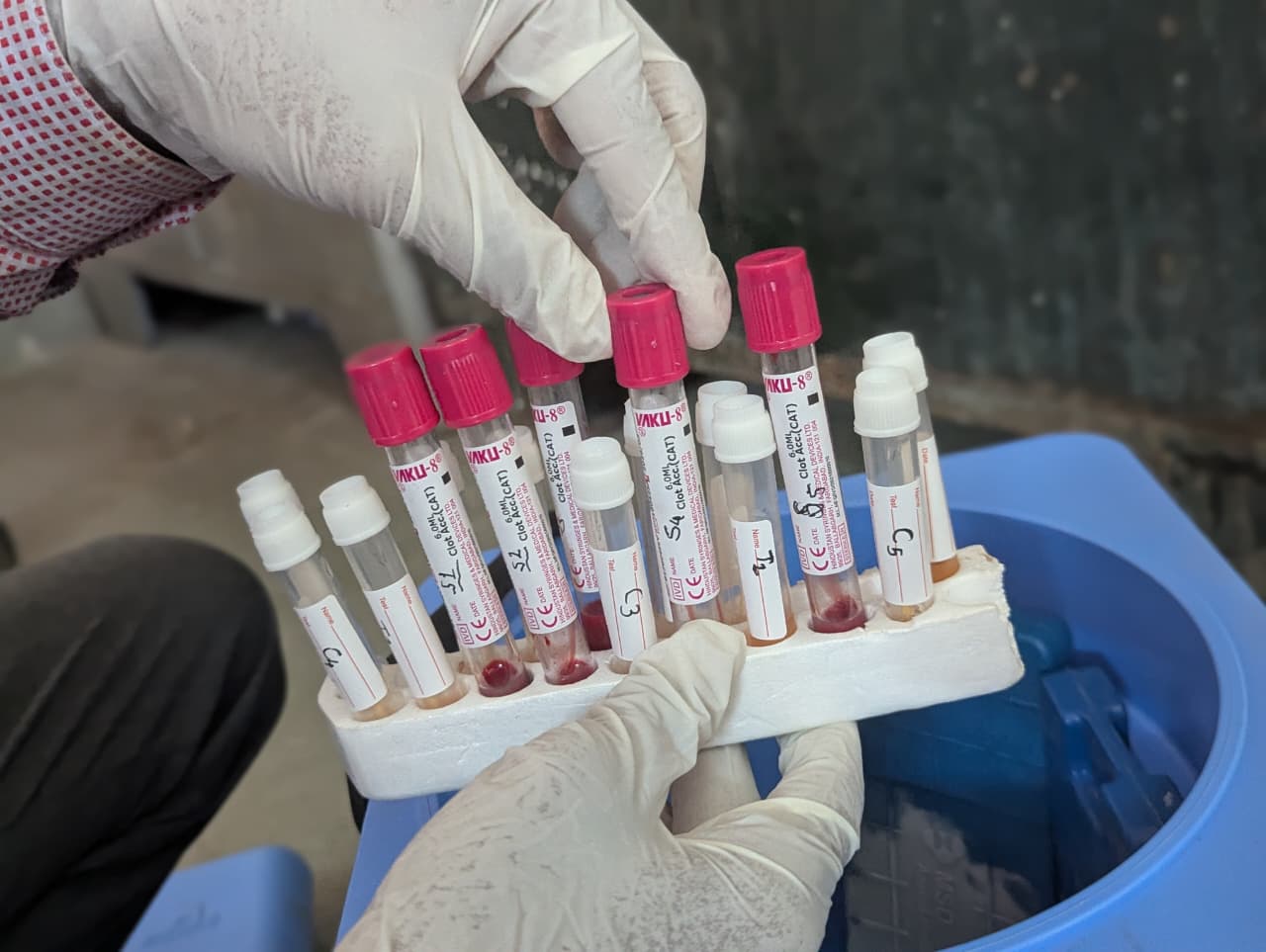 'This time we don't have strength to rebuild': Bird flu hits western India's biggest egg-supply hub, again