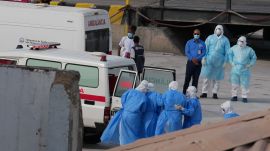 Cape Verde Hantavirus Ship
