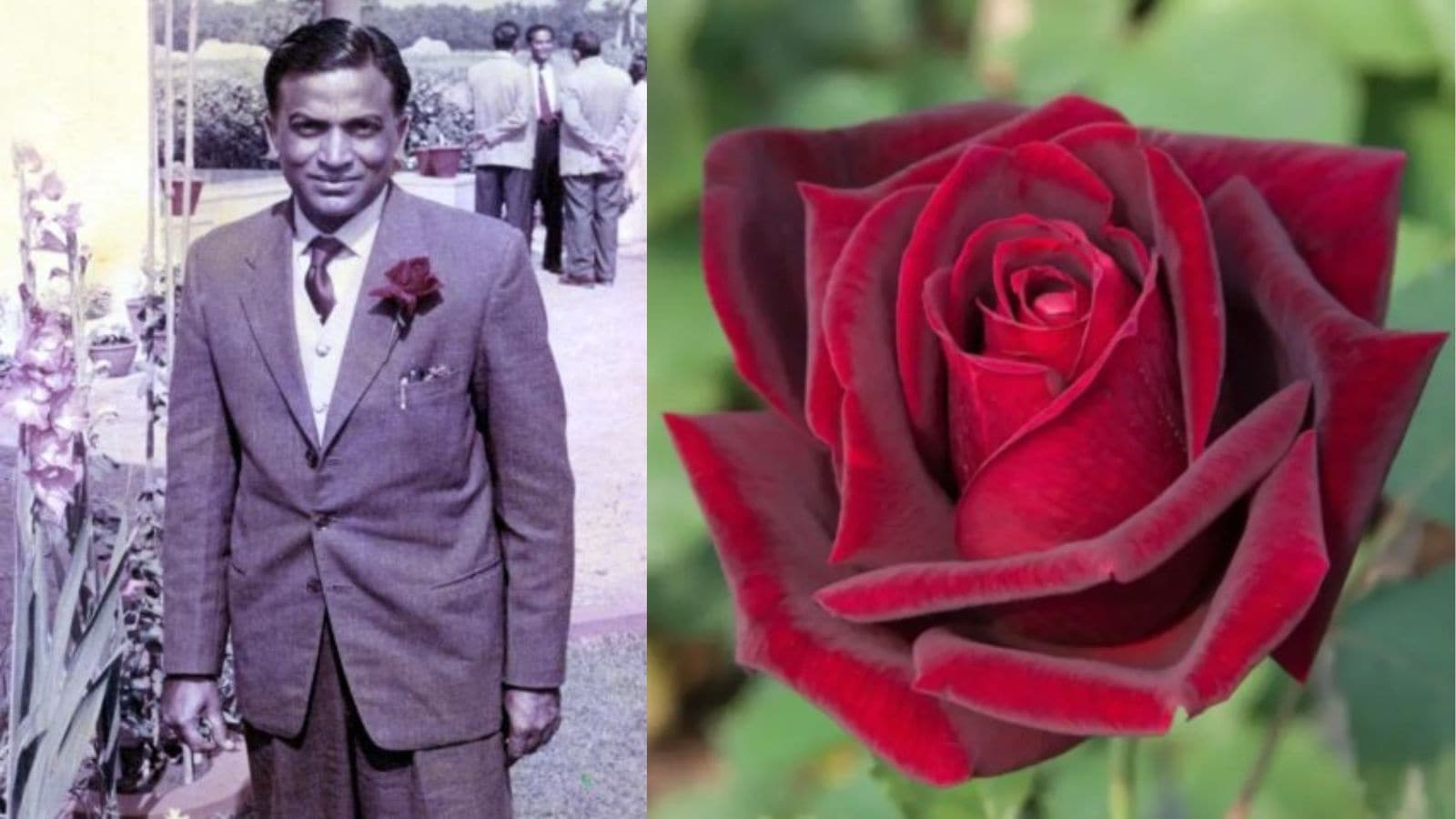 TP Singh, TP Singh obit, TP Singh obituary, TP Singh dead, TP Singh death, TP Singh passes away, Hybrid rose Tribhuvan, Tribhuvan, Indian express news, current affairs