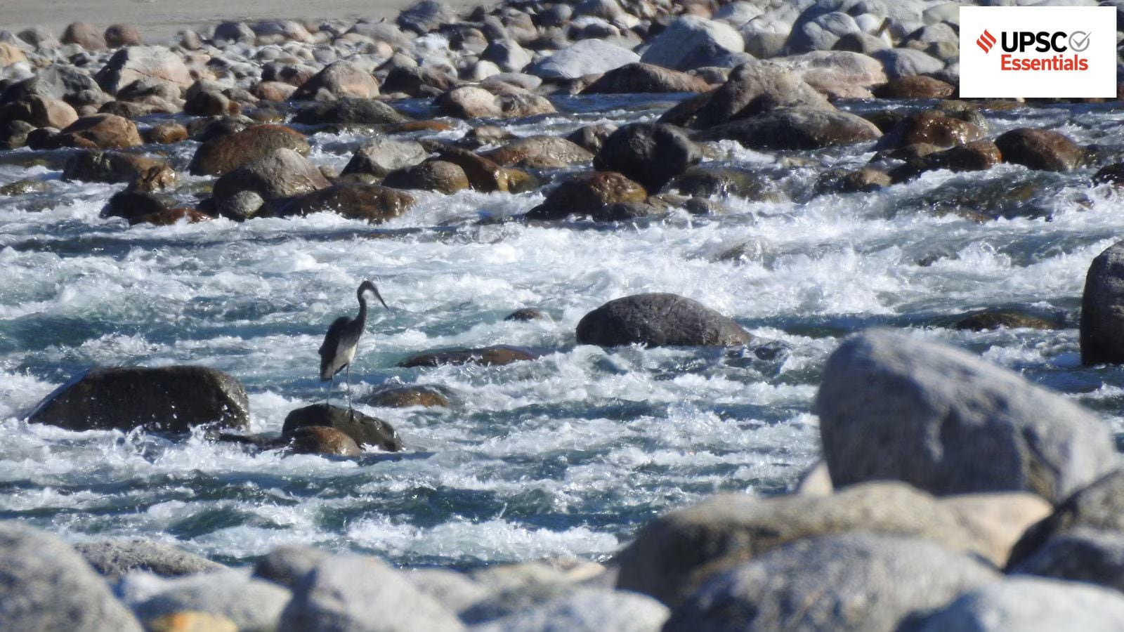 UPSC Daily Quiz: Environment and Geography (Week 161)