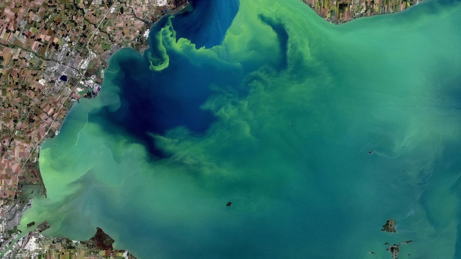 indianexpress.com - Tech Desk - NASA's new AI system could help predict dangerous algae outbreaks earlier