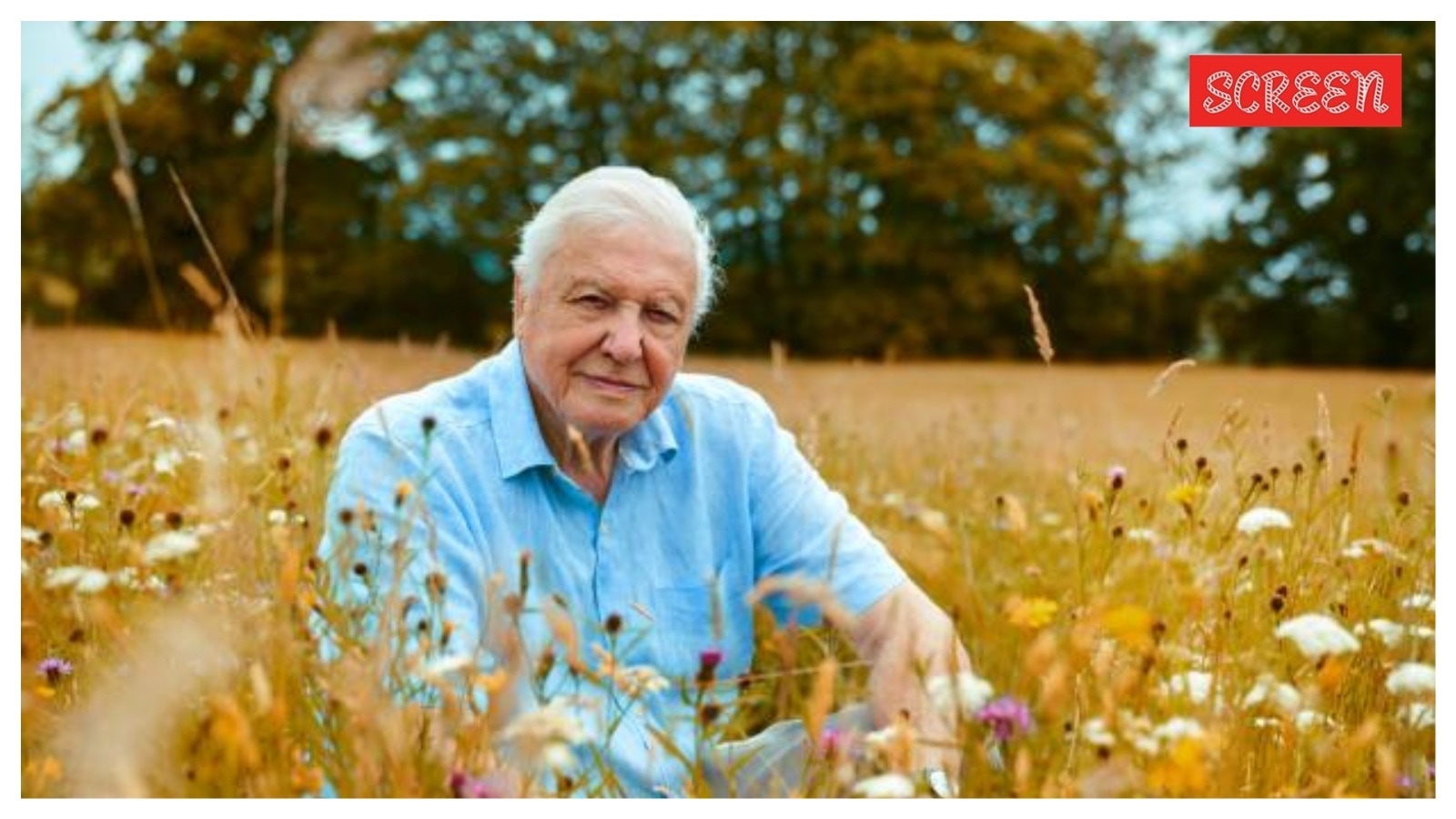 With David Attenborough turning 100 years old, planet Earth hugs back its most ardent lover